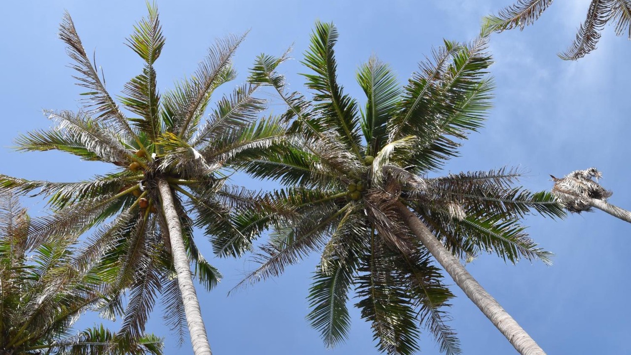 Photo of Outdoor in Lamai City Center