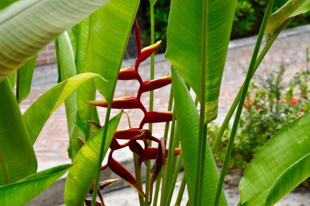 Photo of Outdoor in Lamai City Center