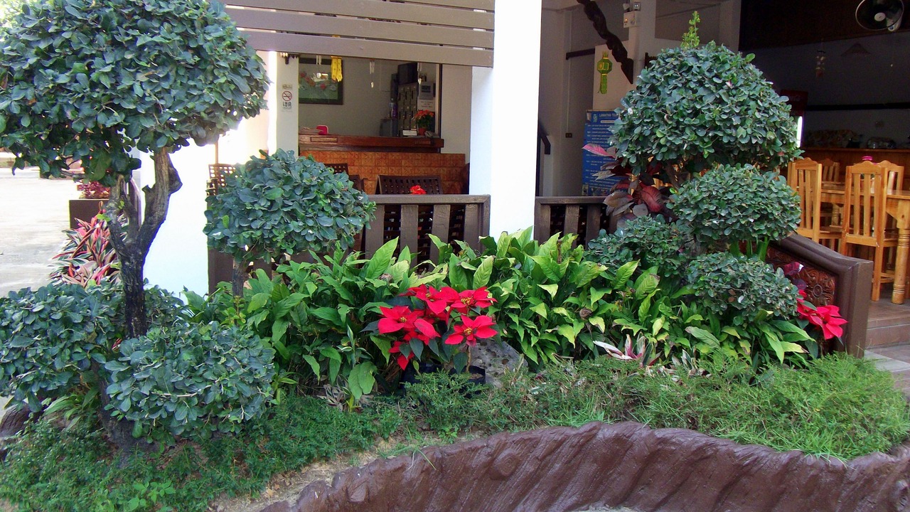 Photo of Outdoor in Chang Khlan