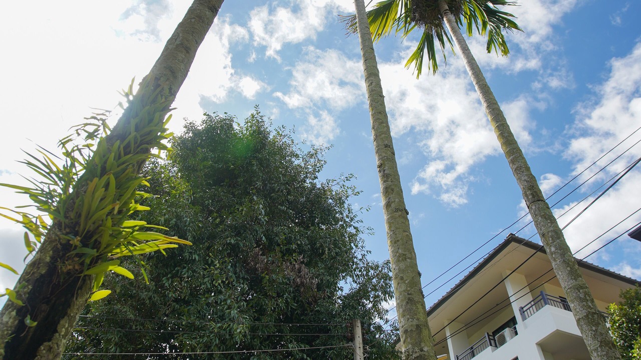 Photo of Outdoor in Chang Phueak