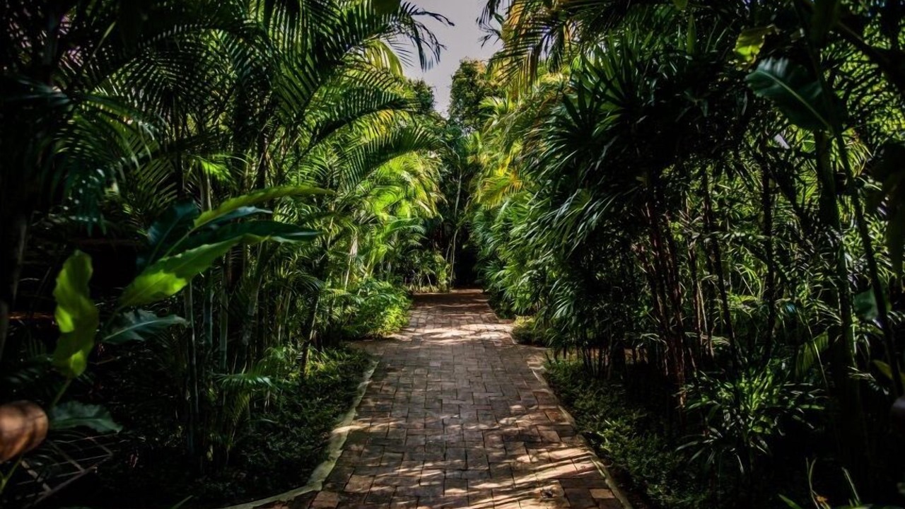 Photo of Outdoor in On Tai