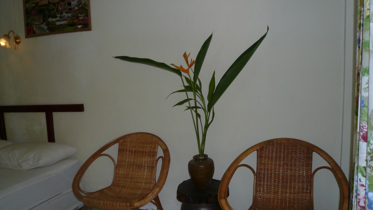 Photo of Bedroom in Lamai City Center
