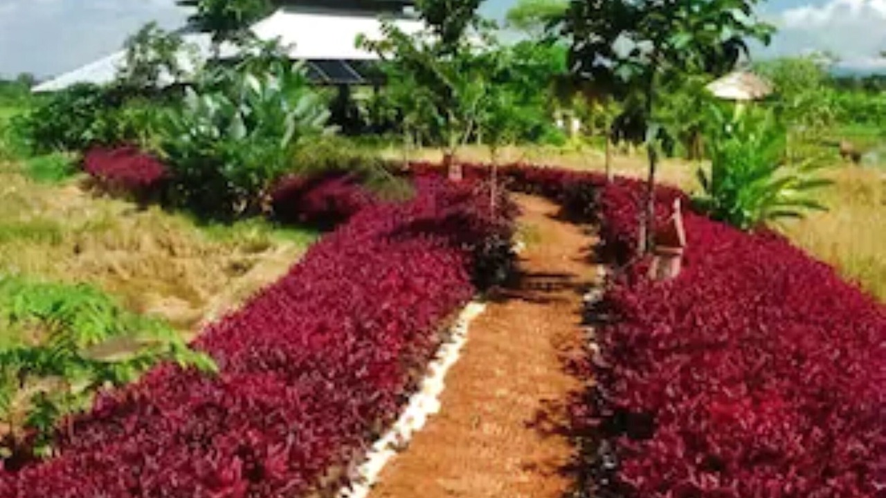 Photo of Outdoor in Choeng Doi