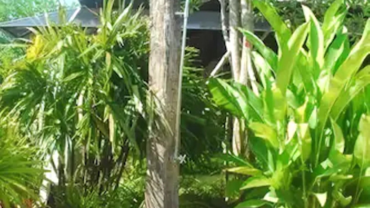 Photo of Outdoor in Choeng Doi