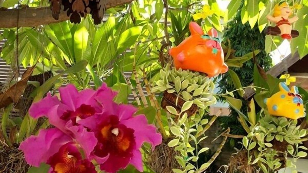 Photo of Outdoor in Wua Lai