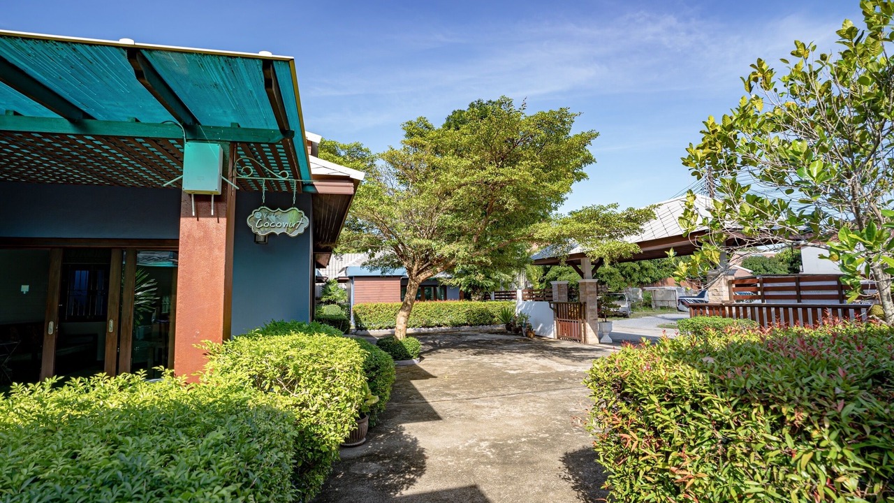 Photo of Outdoor in Lamai City Center