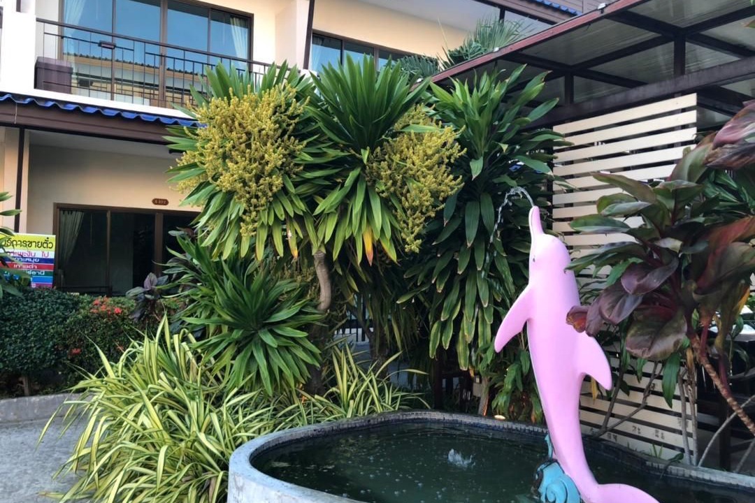 Photo of Outdoor in Thong Sala