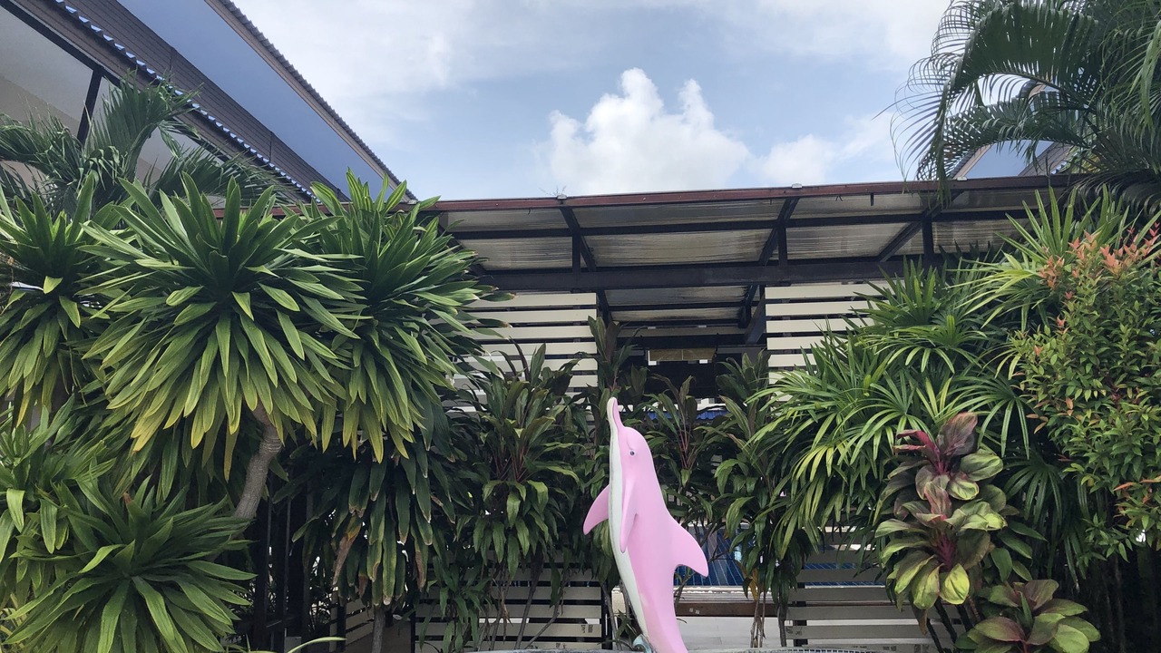 Photo of Outdoor in Thong Sala