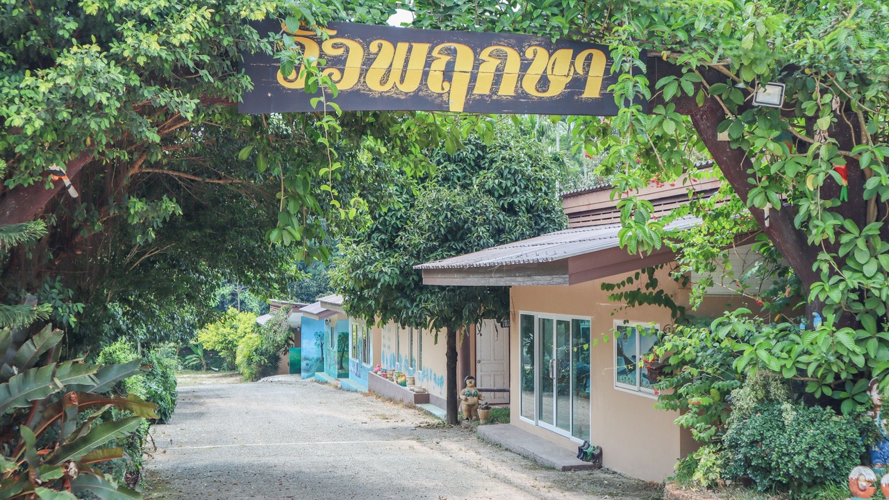 Photo of Outdoor in Sai Daeng