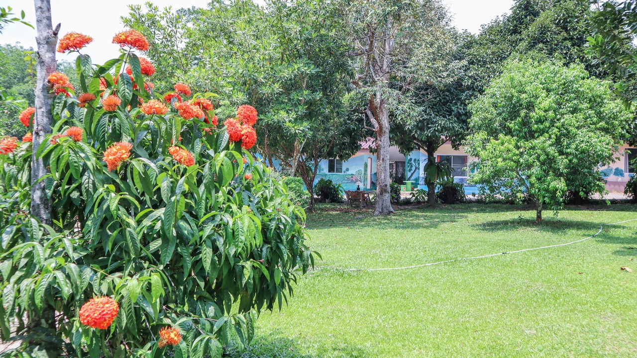Photo of Outdoor in Sai Daeng