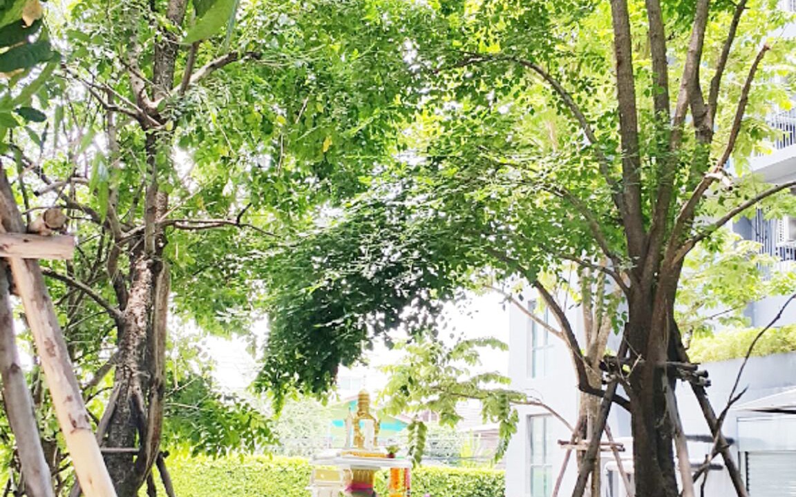 Photo of Outdoor in Bang Na