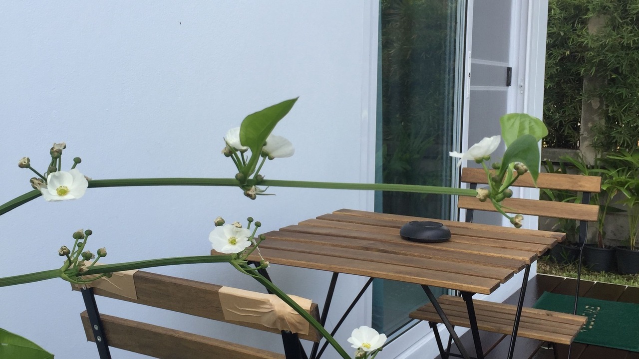 Photo of Outdoor in Chonburi