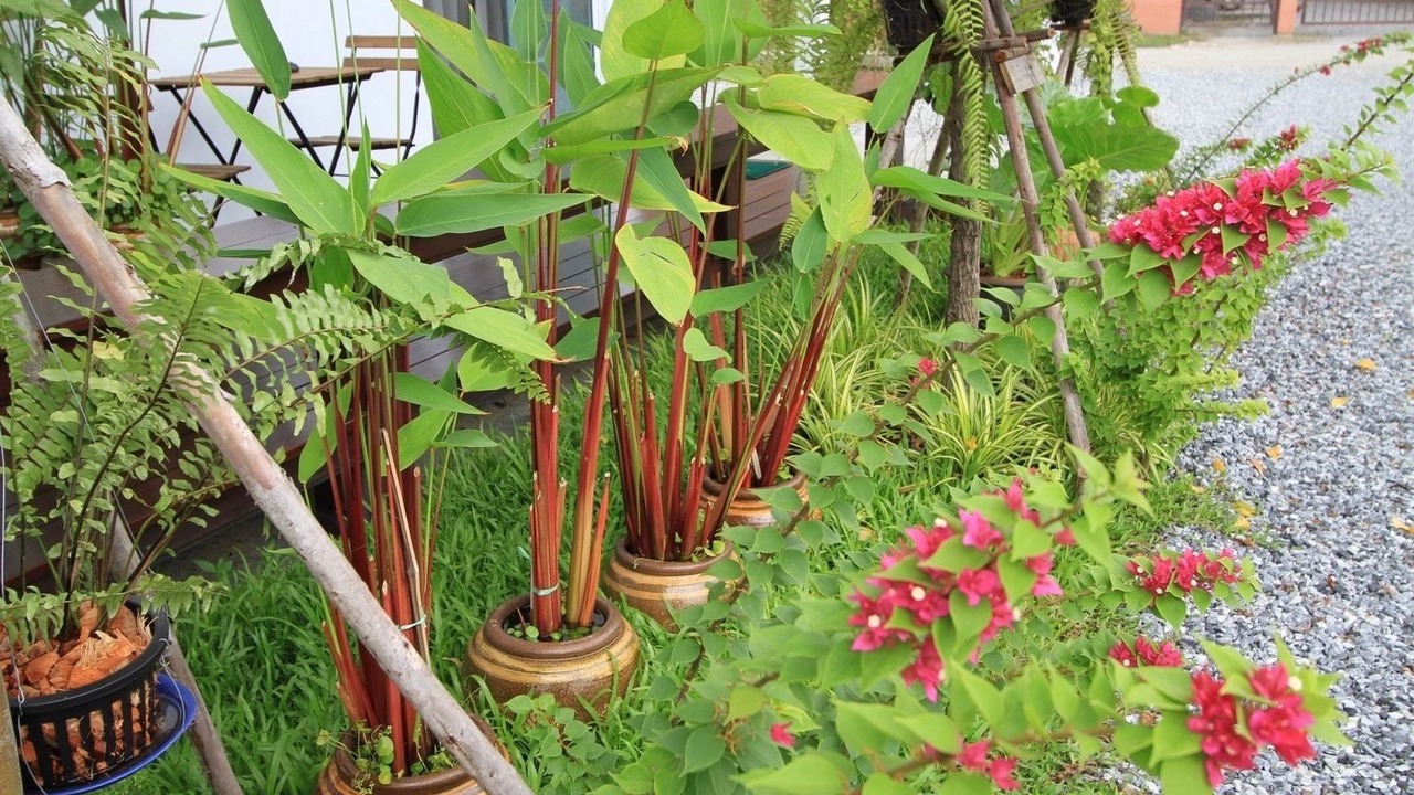 Photo of Outdoor in Chonburi