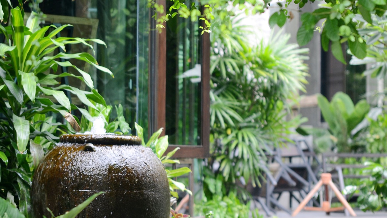 Photo of Outdoor in Chang Phueak