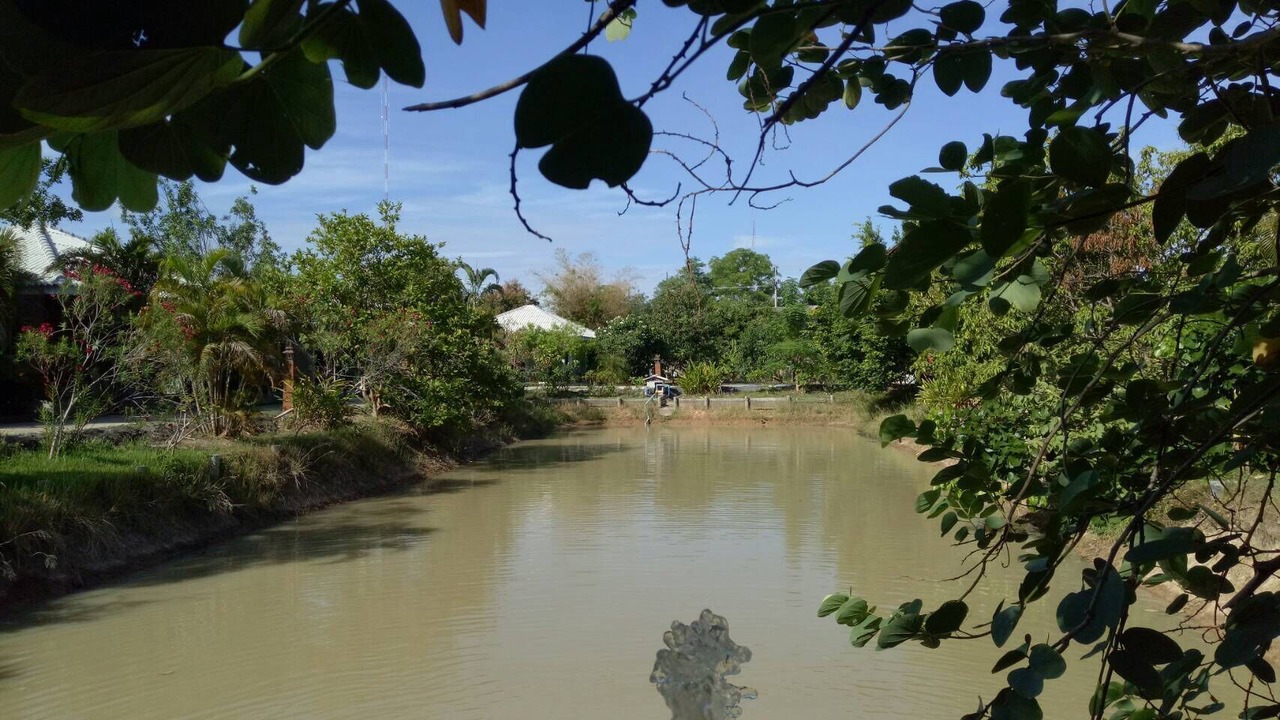 Photo of Outdoor in Lamphun