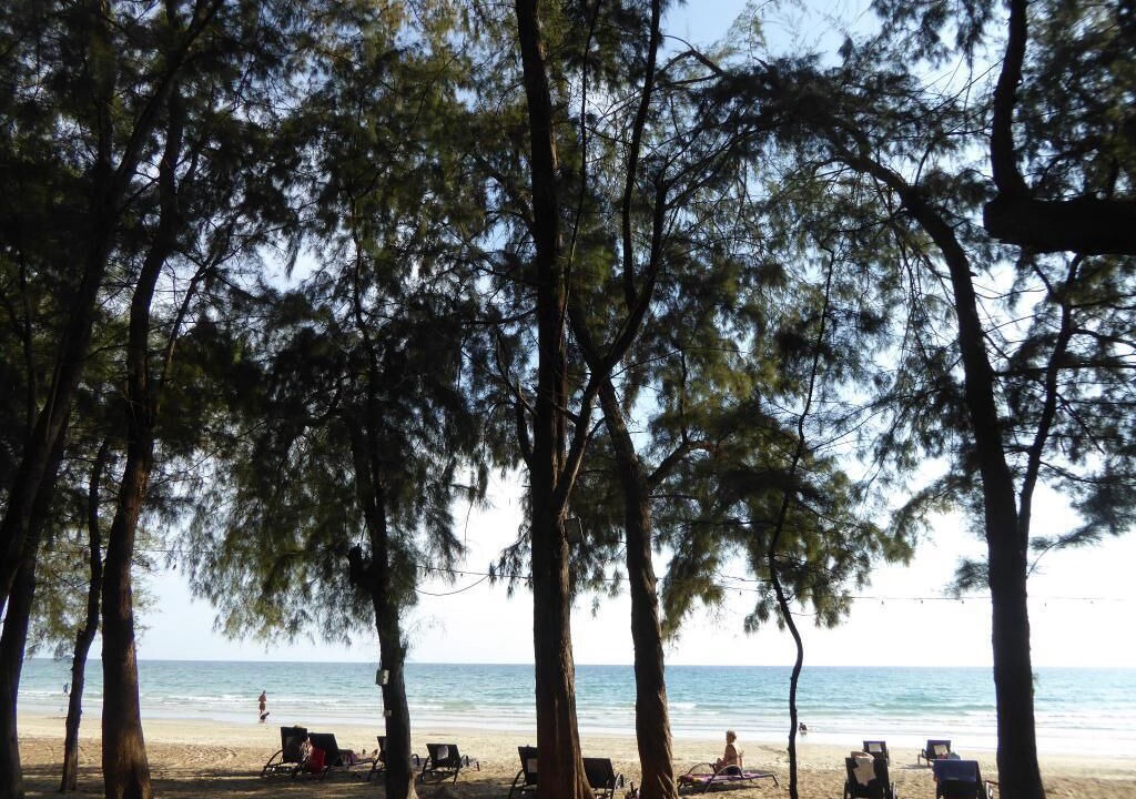 Photo of Others in Rayong