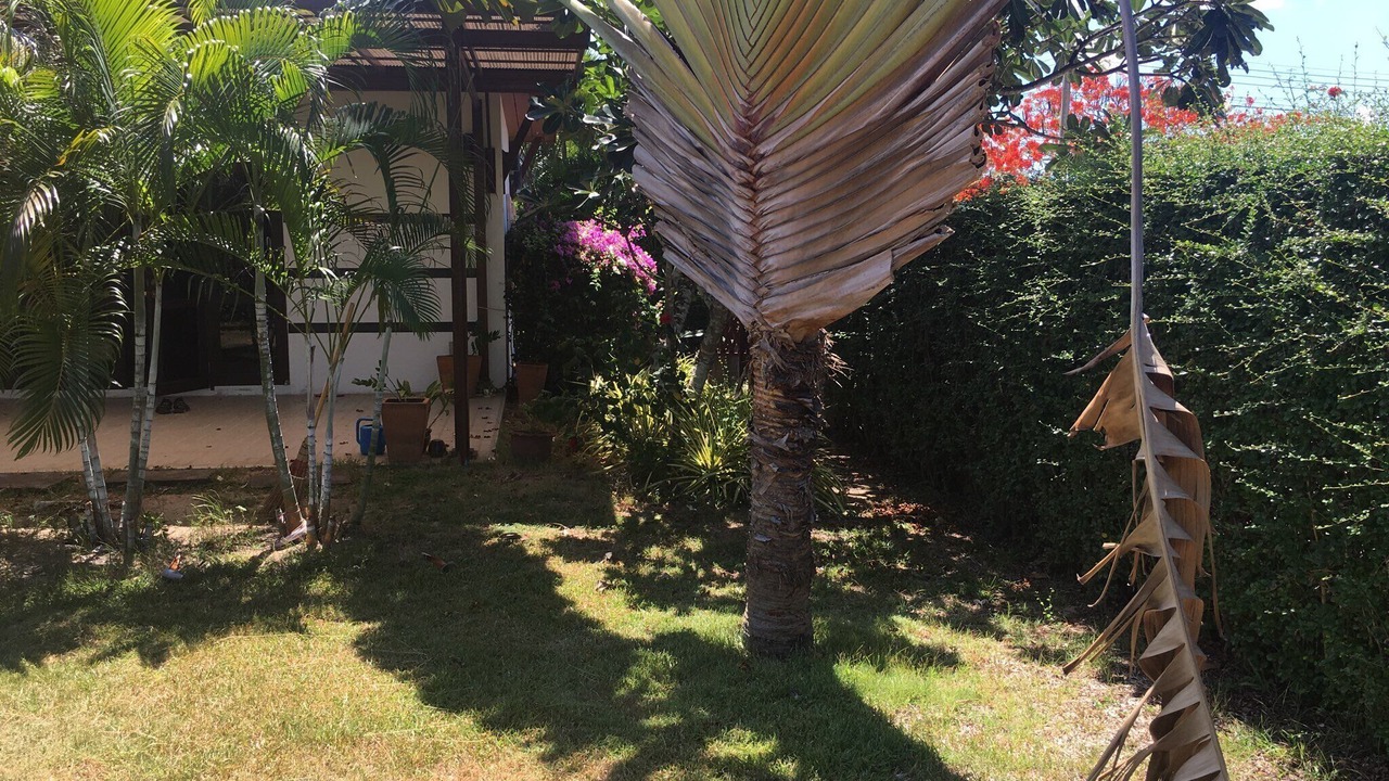 Photo of Outdoor in Rayong