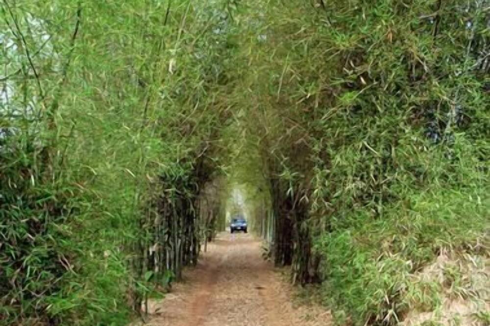 Photo of Outdoor in Um Chan