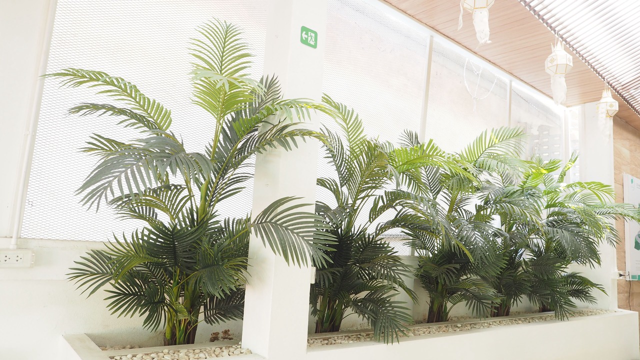 Photo of Outdoor in Chom Thong