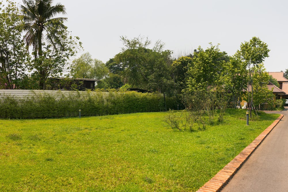 Photo of Outdoor in Nong Pa Khrang
