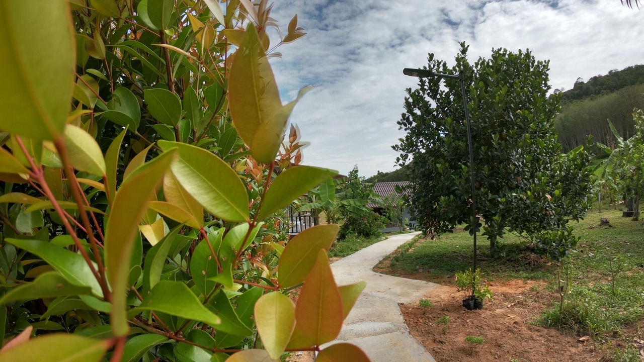 Photo of Outdoor in Ko Yao