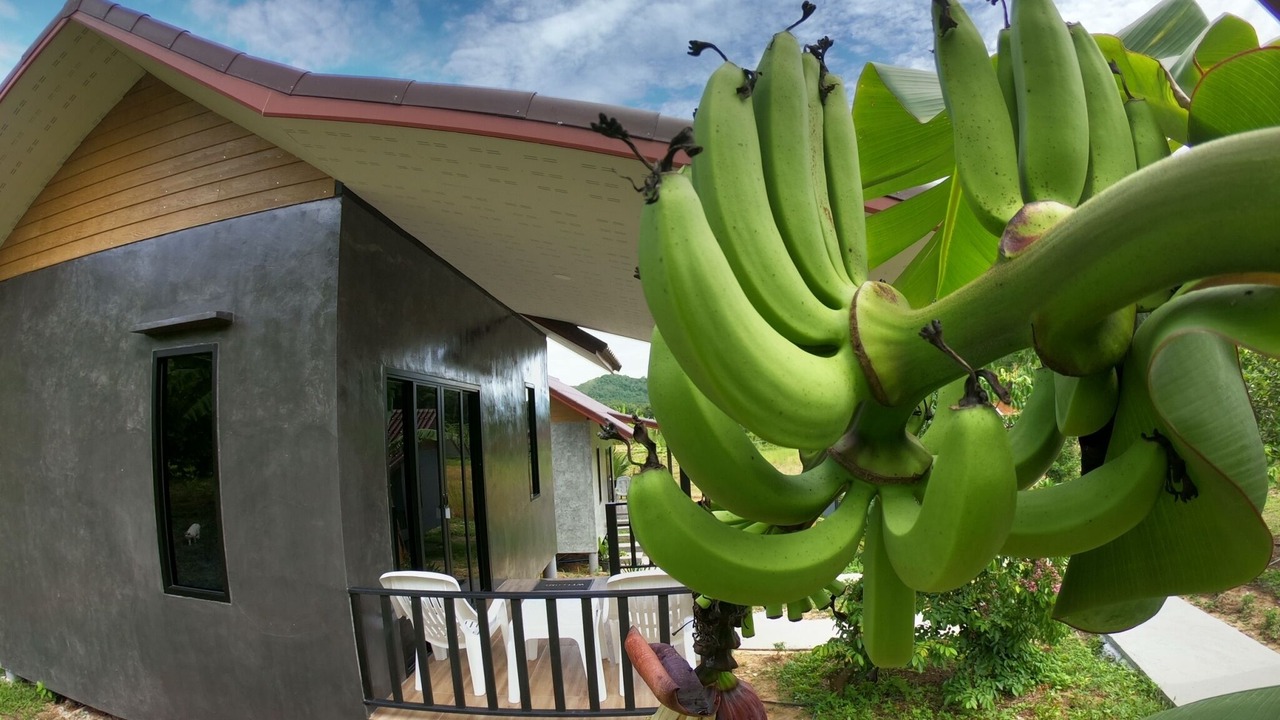 Photo of Outdoor in Ko Yao