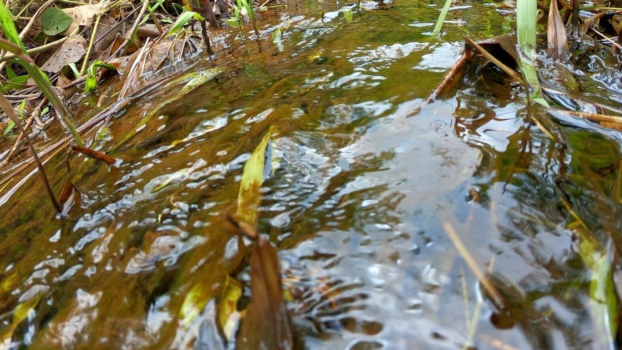 Photo of Outdoor in Ko Yao