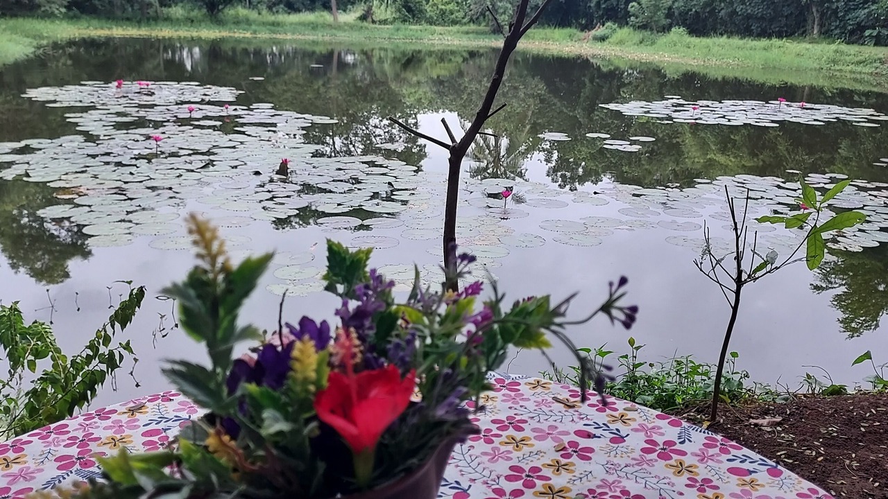 Photo of Outdoor in Kumphawapi
