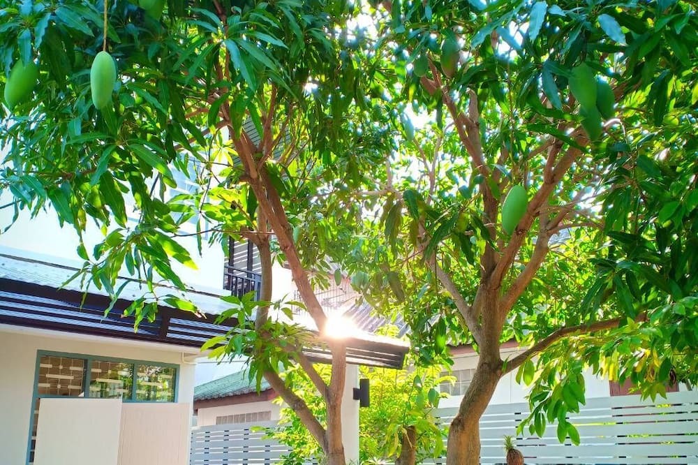 Photo of Outdoor in Songkhla