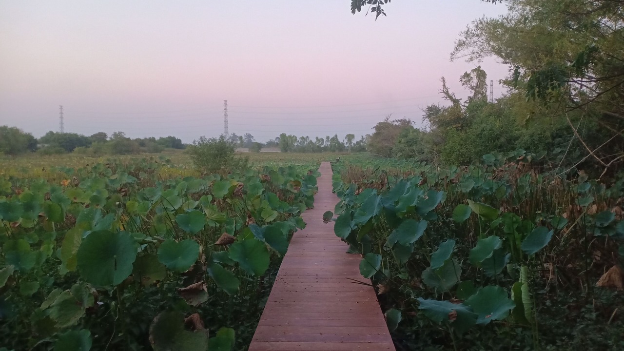 Photo of Outdoor in Udon Thani