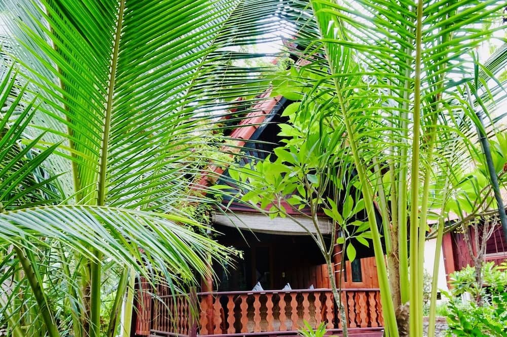 Photo of Outdoor in Lamai