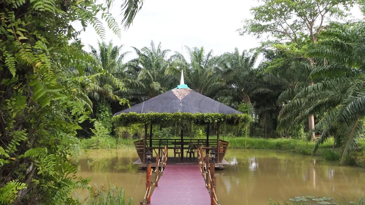 Photo of Outdoor in Pak Nam
