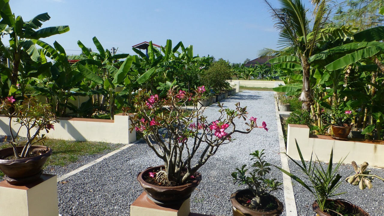 Photo of Outdoor in Chiang Wang