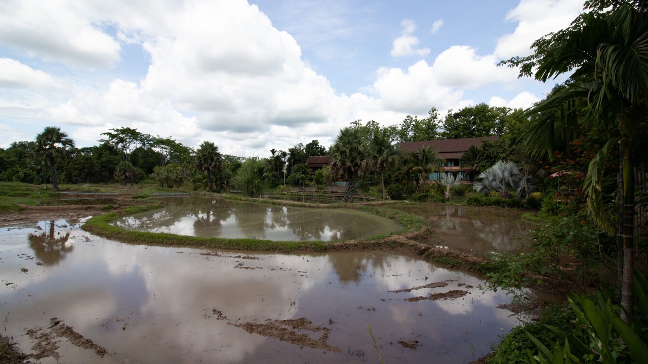 Photo of Others in Ban Pong