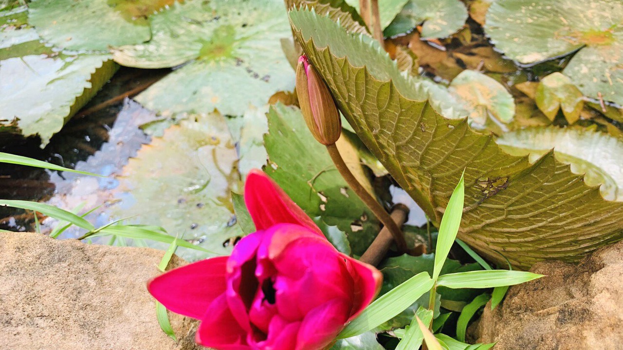 Photo of Outdoor in Nuea Khlong