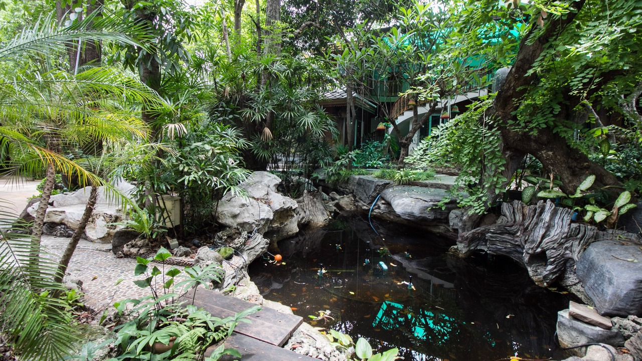 Photo of Outdoor in Pattaya