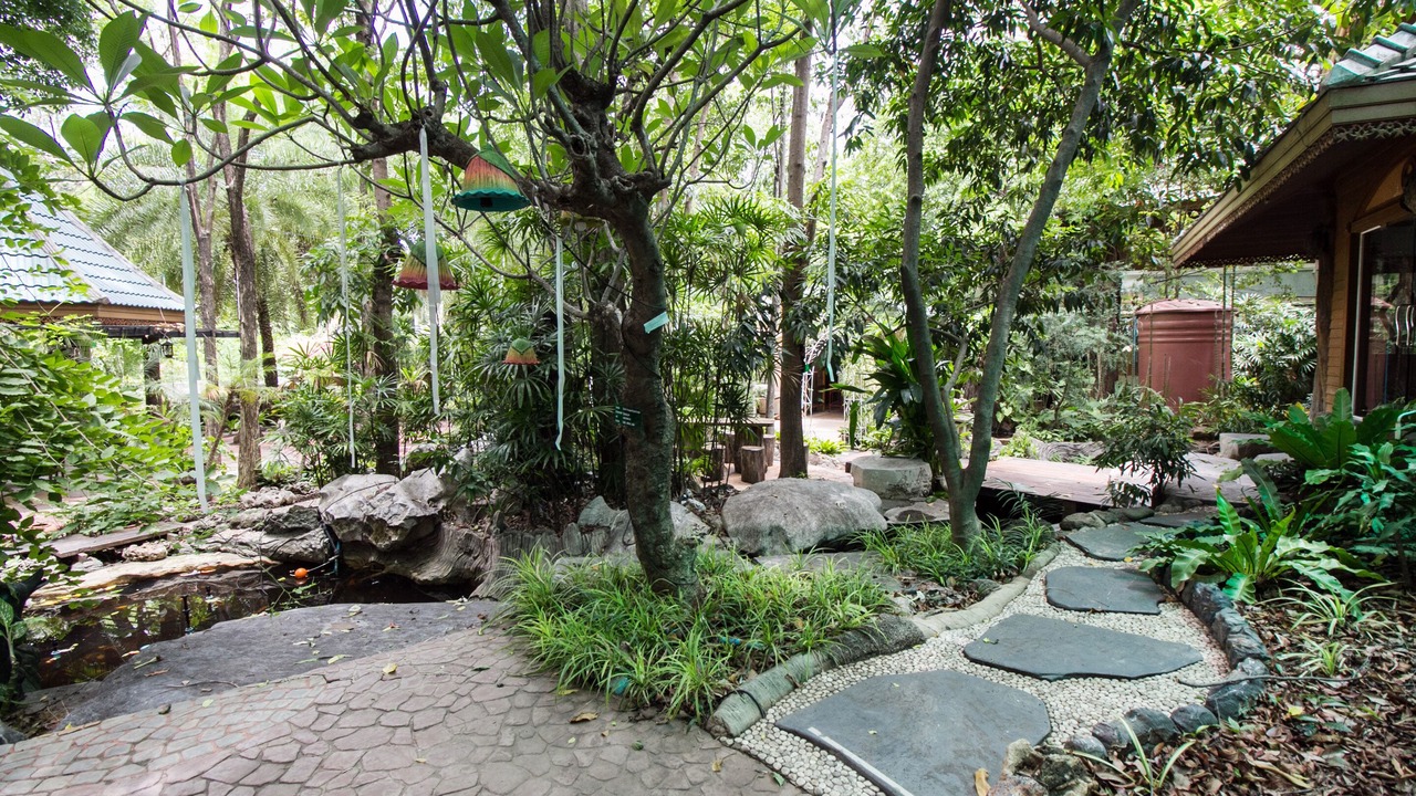 Photo of Outdoor in Pattaya
