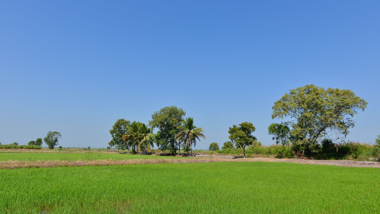 Photo of Outdoor in Bang Nam Prieo