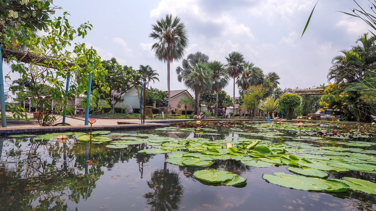 Photo of Outdoor in Suphan Buri