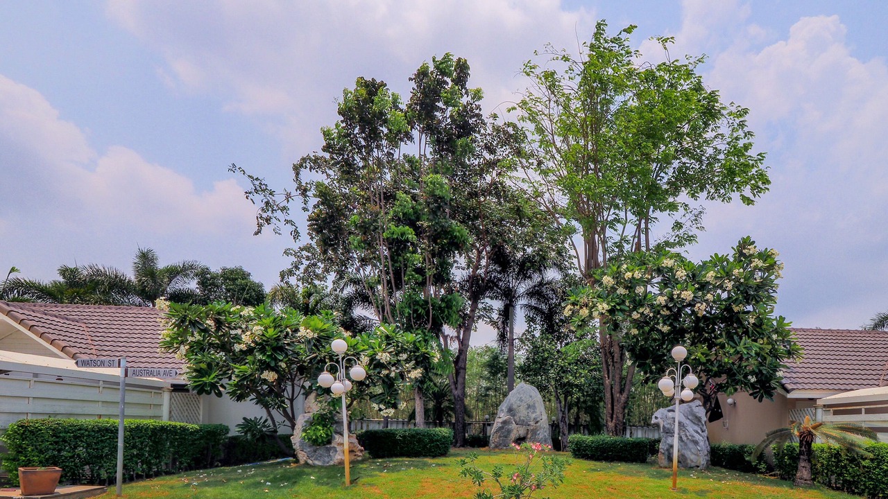 Photo of Outdoor in Suphan Buri