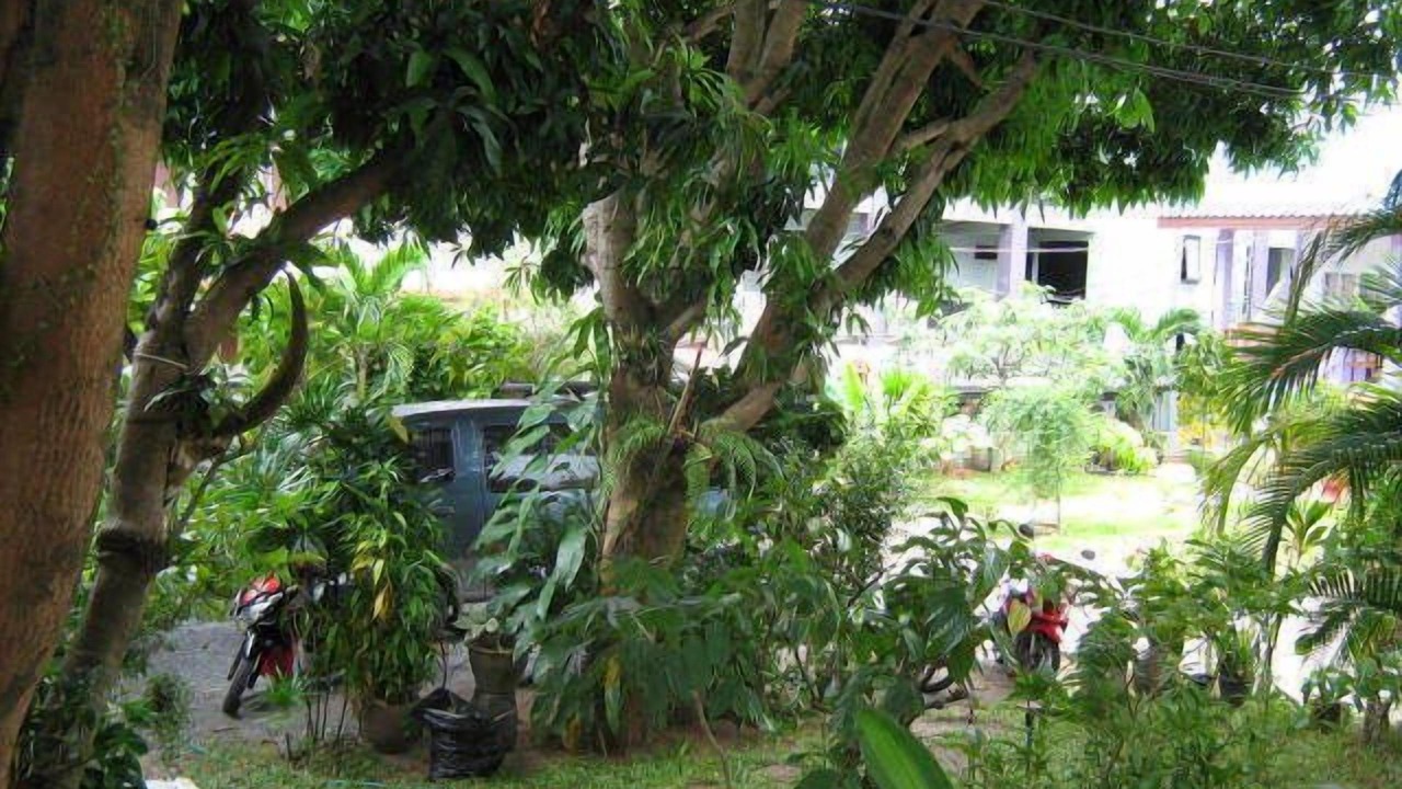 Photo of Outdoor in Lamai City Center