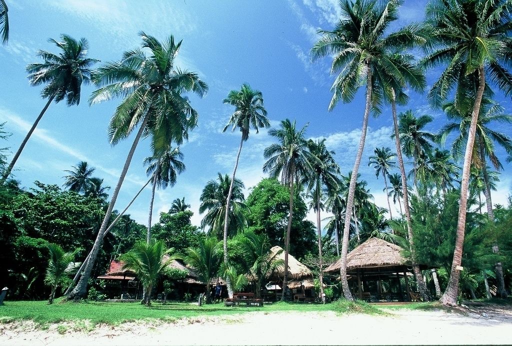 Photo of Others in Bang Saphan Noi