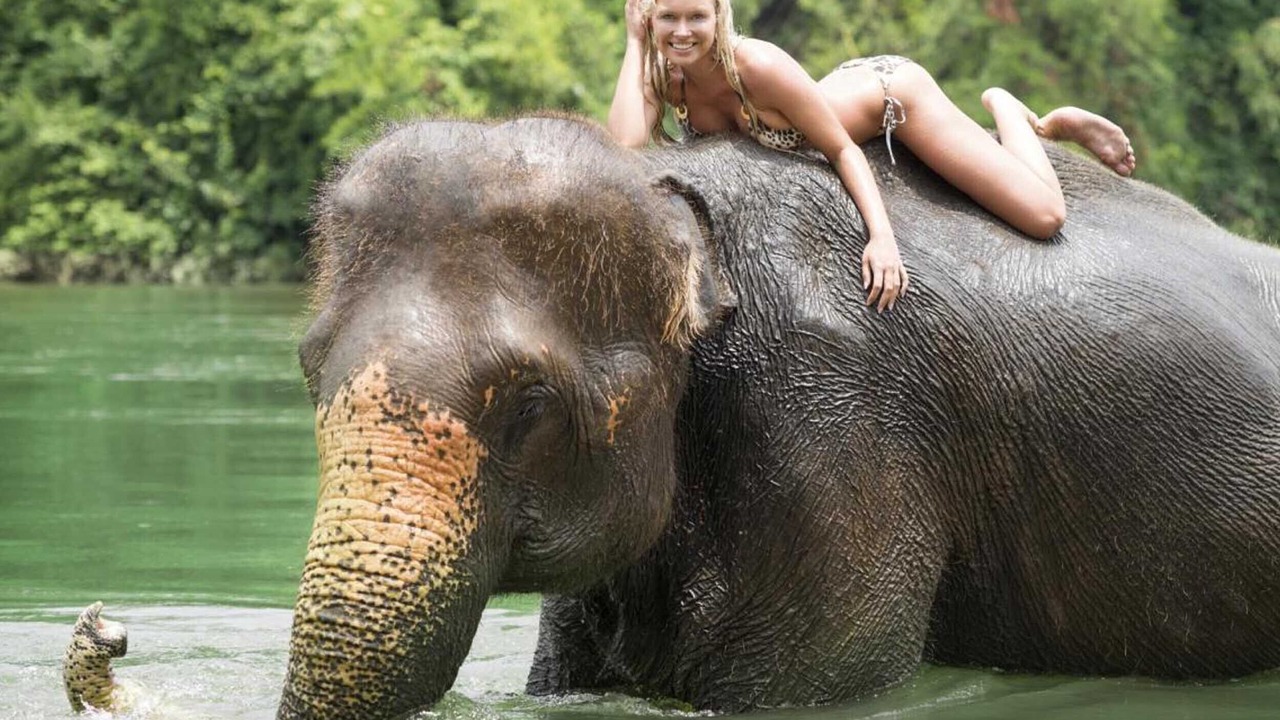 Photo of Others in Koh Wai