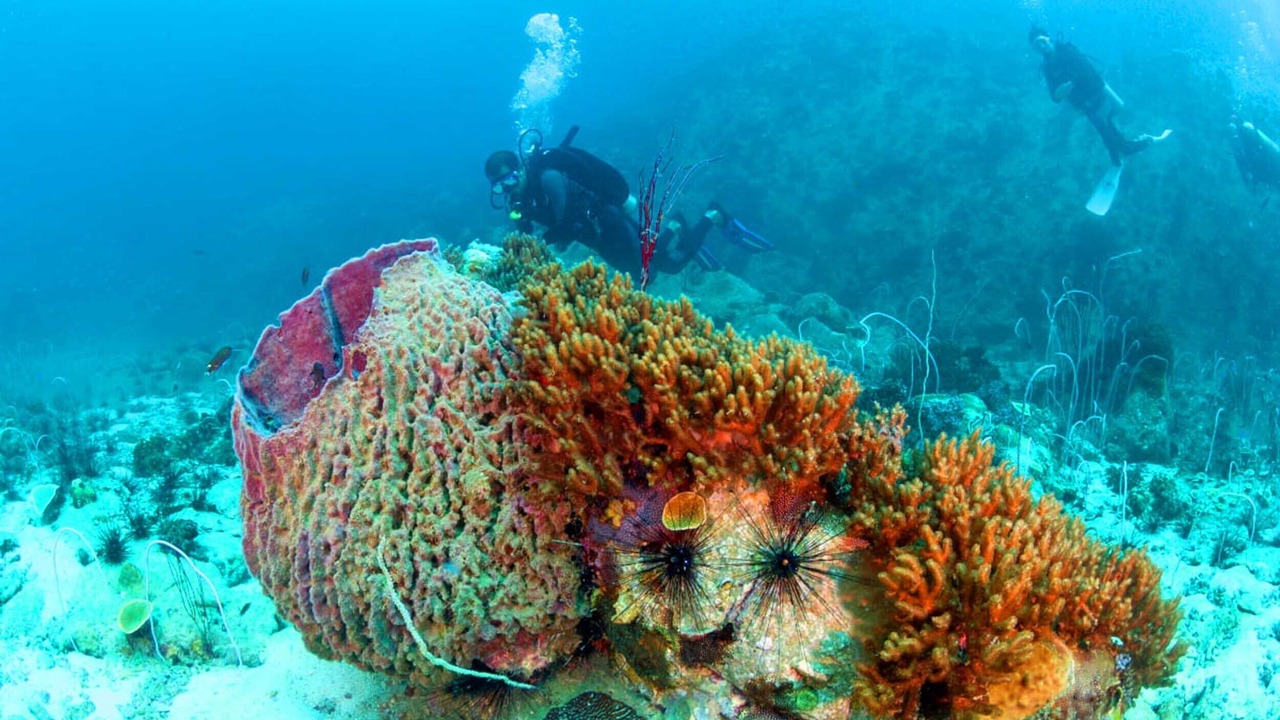 Photo of Others in Koh Wai