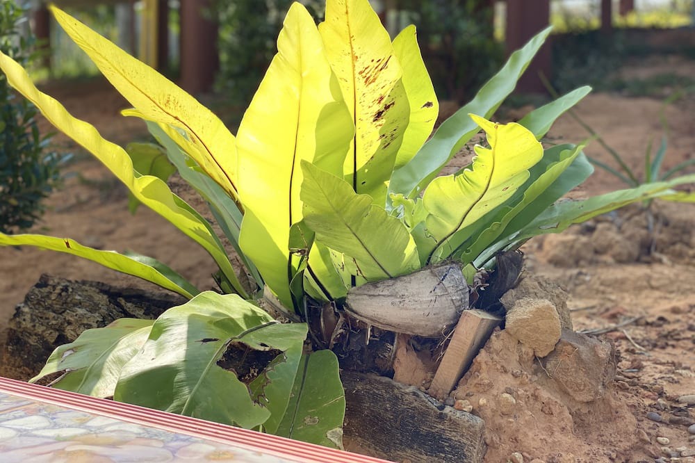 Photo of Outdoor in Ko Yao