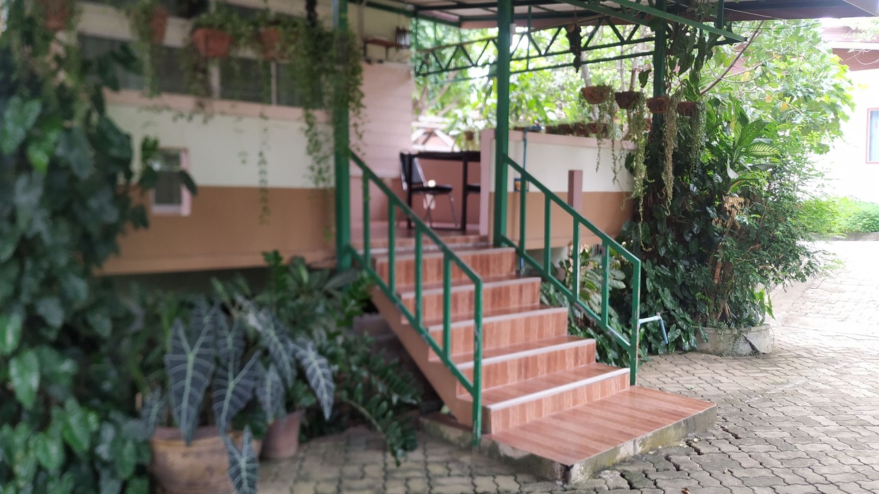 Photo of Outdoor in Mae Fa Luang