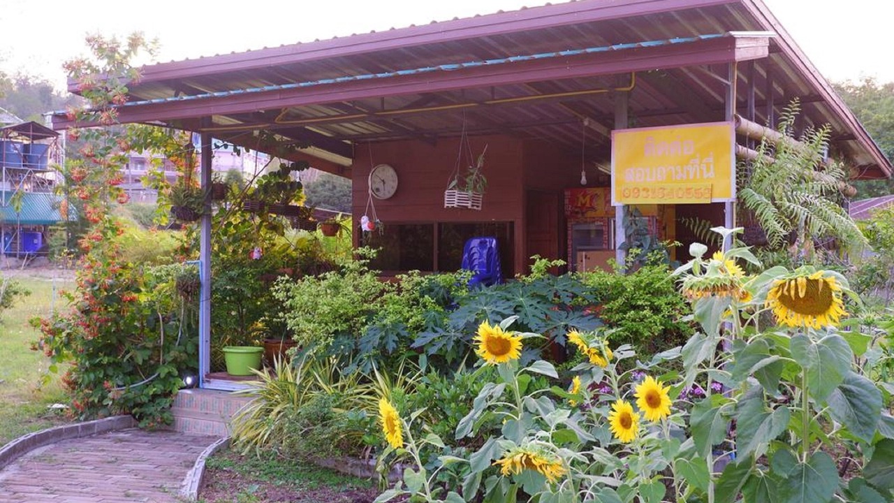 Photo of Others in Mae Fa Luang