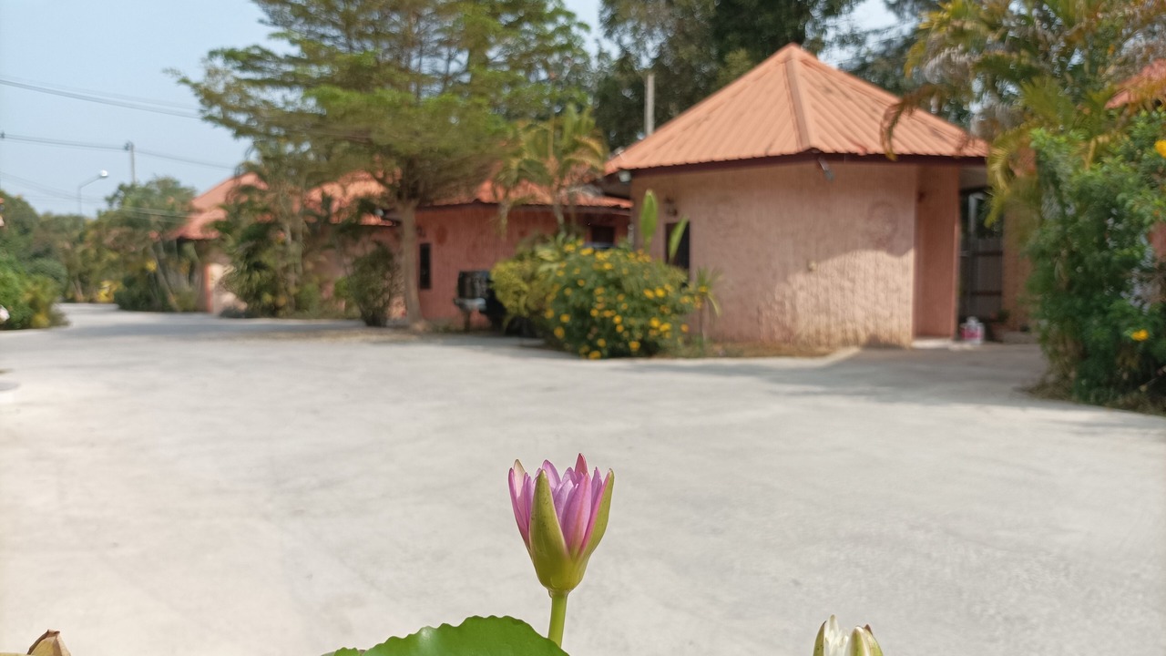 Photo of Outdoor in Yasothon