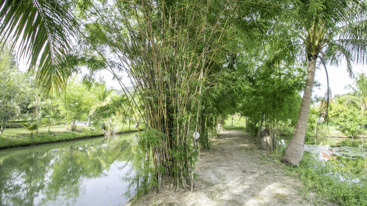Photo of Outdoor in Kao Yai