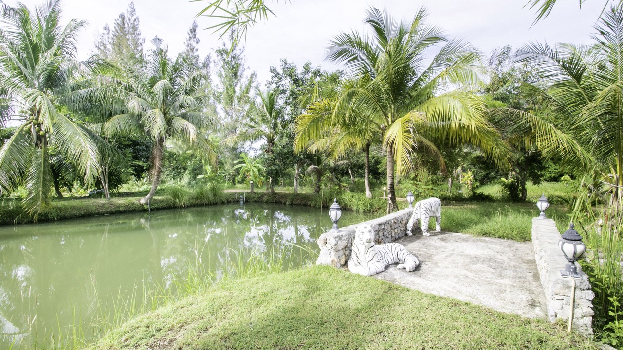 Photo of Outdoor in Kao Yai